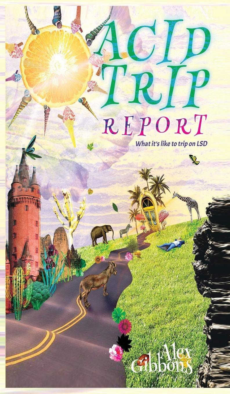 Cover: 9781925992656 | Acid Trip Report - What it's like to trip on LSD | Alex Gibbons | Buch