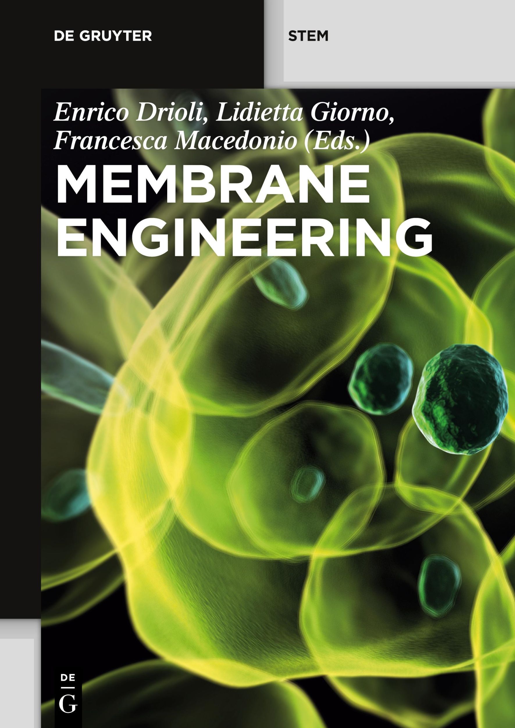 Cover: 9783110281408 | Membrane Engineering | Enrico Drioli (u. a.) | Taschenbuch | XIV