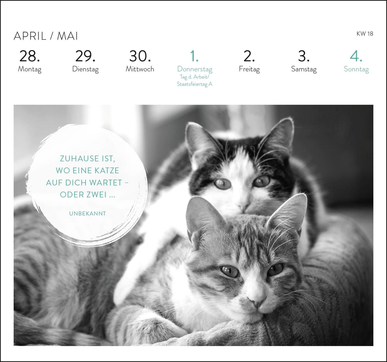 Bild: 4036442012284 | Postkartenkalender 2025: Inspirierende Worte für Katzenfreunde | 54 S.