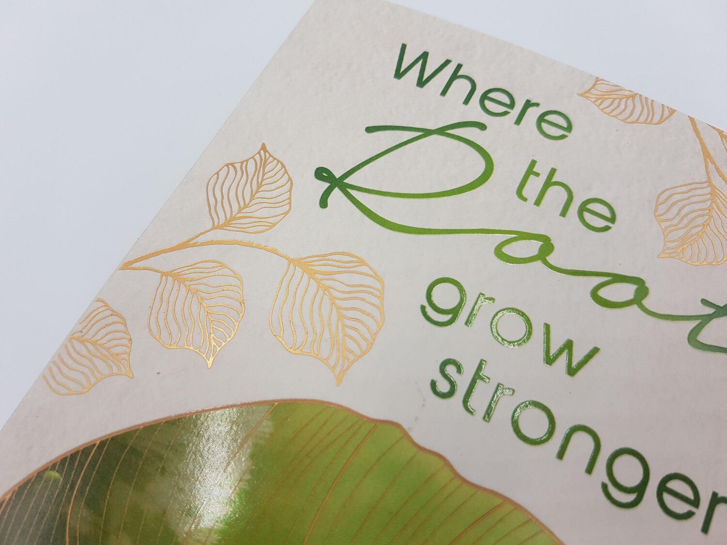 Bild: 9783492062916 | Where the Roots Grow Stronger | Kathinka Engel | Taschenbuch | Deutsch