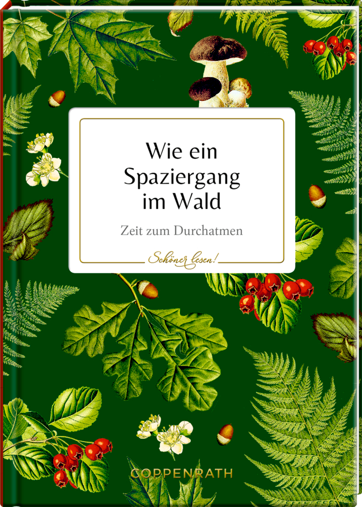 Cover: 9783649639558 | Wie ein Spaziergang im Wald | Zeit zum Durchatmen | Buch | 48 S.