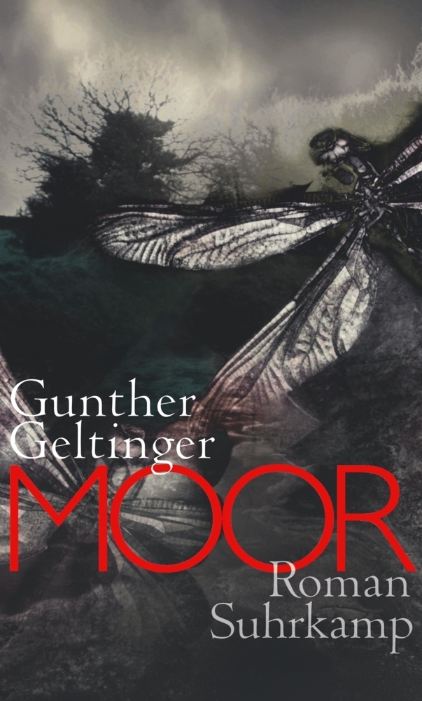 Cover: 9783518423936 | Moor | Roman | Gunther Geltinger | Buch | 2013 | Suhrkamp