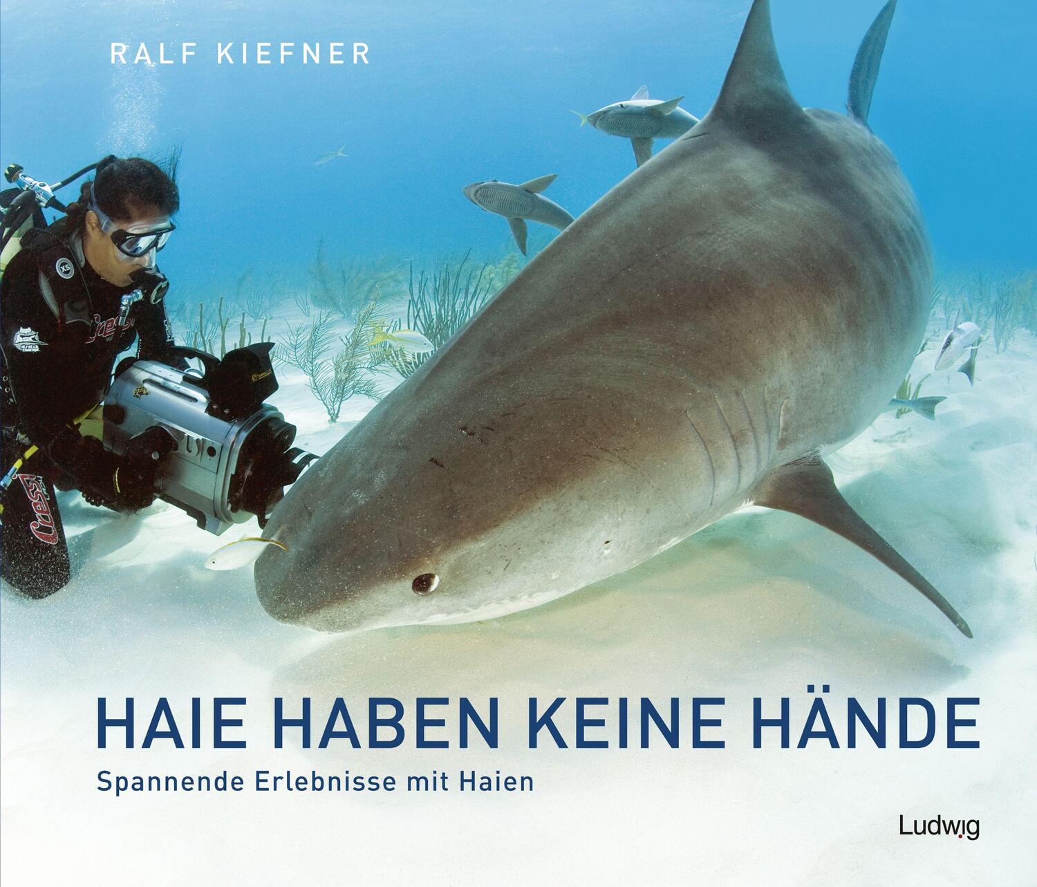 Cover: 9783869354279 | Haie haben keine Hände - Spannende Erlebnisse mit Haien | Ralf Kiefner
