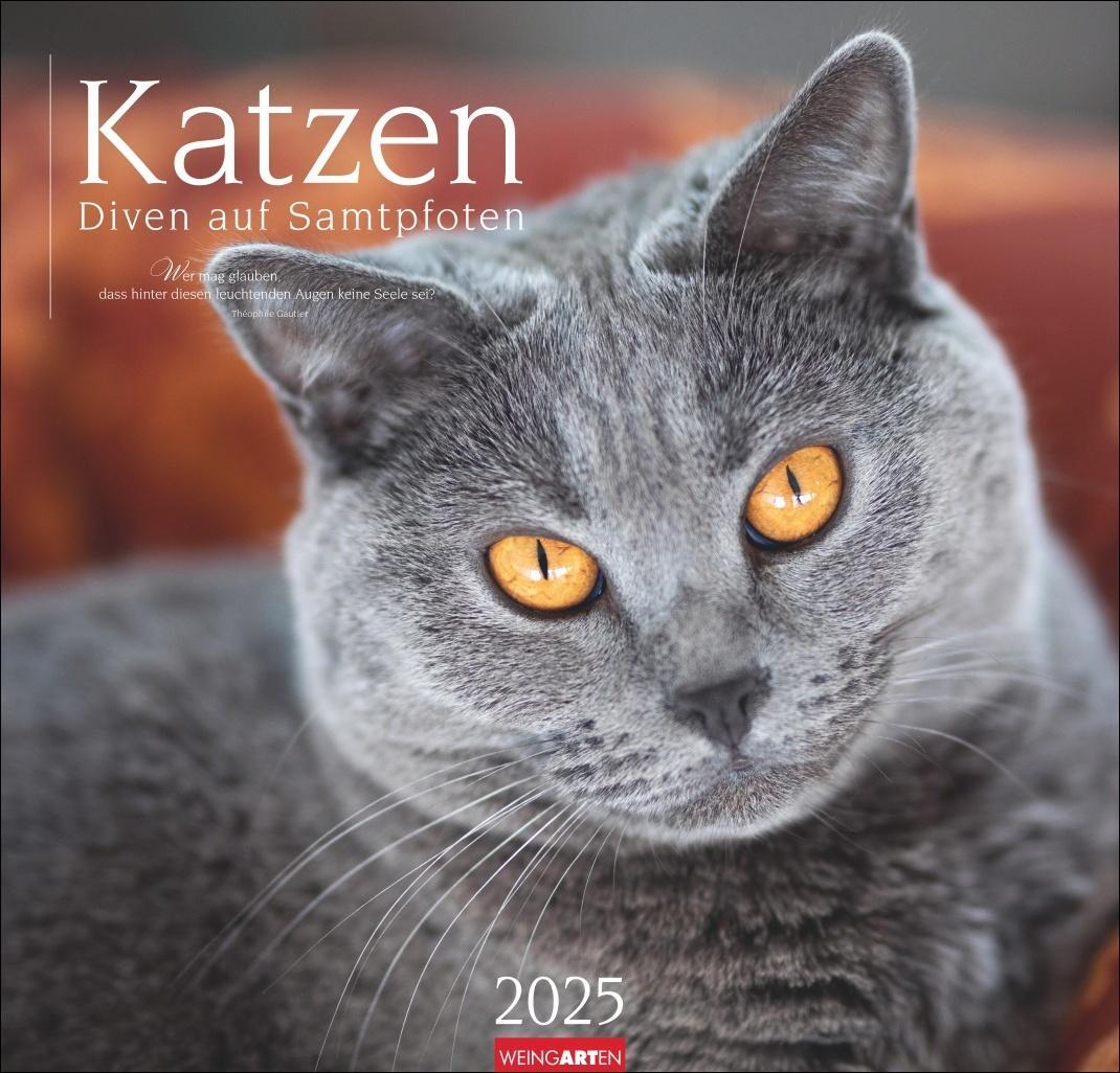 Cover: 9783839900963 | Katzen - Diven auf Samtpfoten Kalender 2025 - Diven auf Samtpfoten