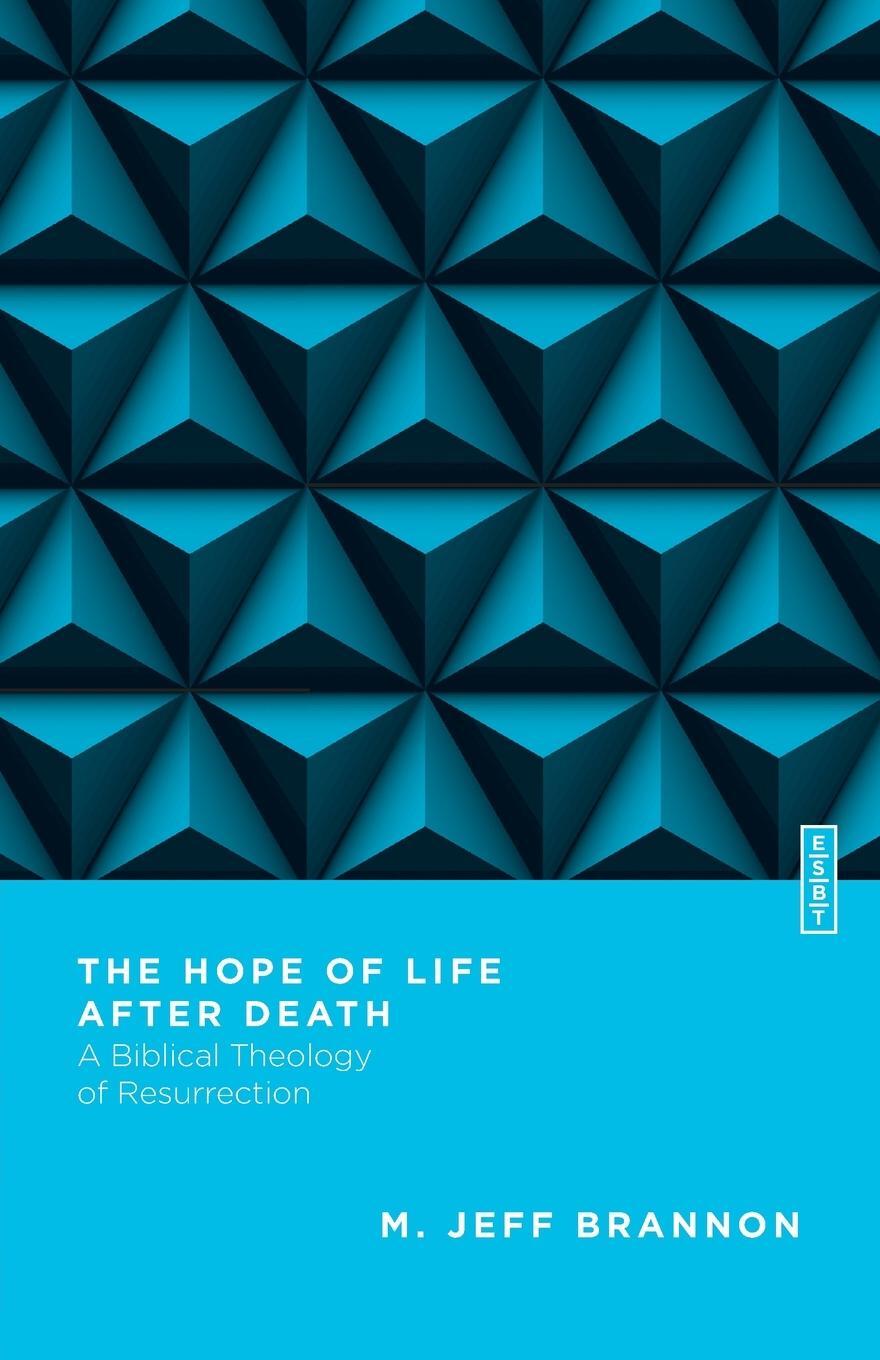 Cover: 9780830855315 | Hope of Life After Death | A Biblical Theology of Resurrection | Buch