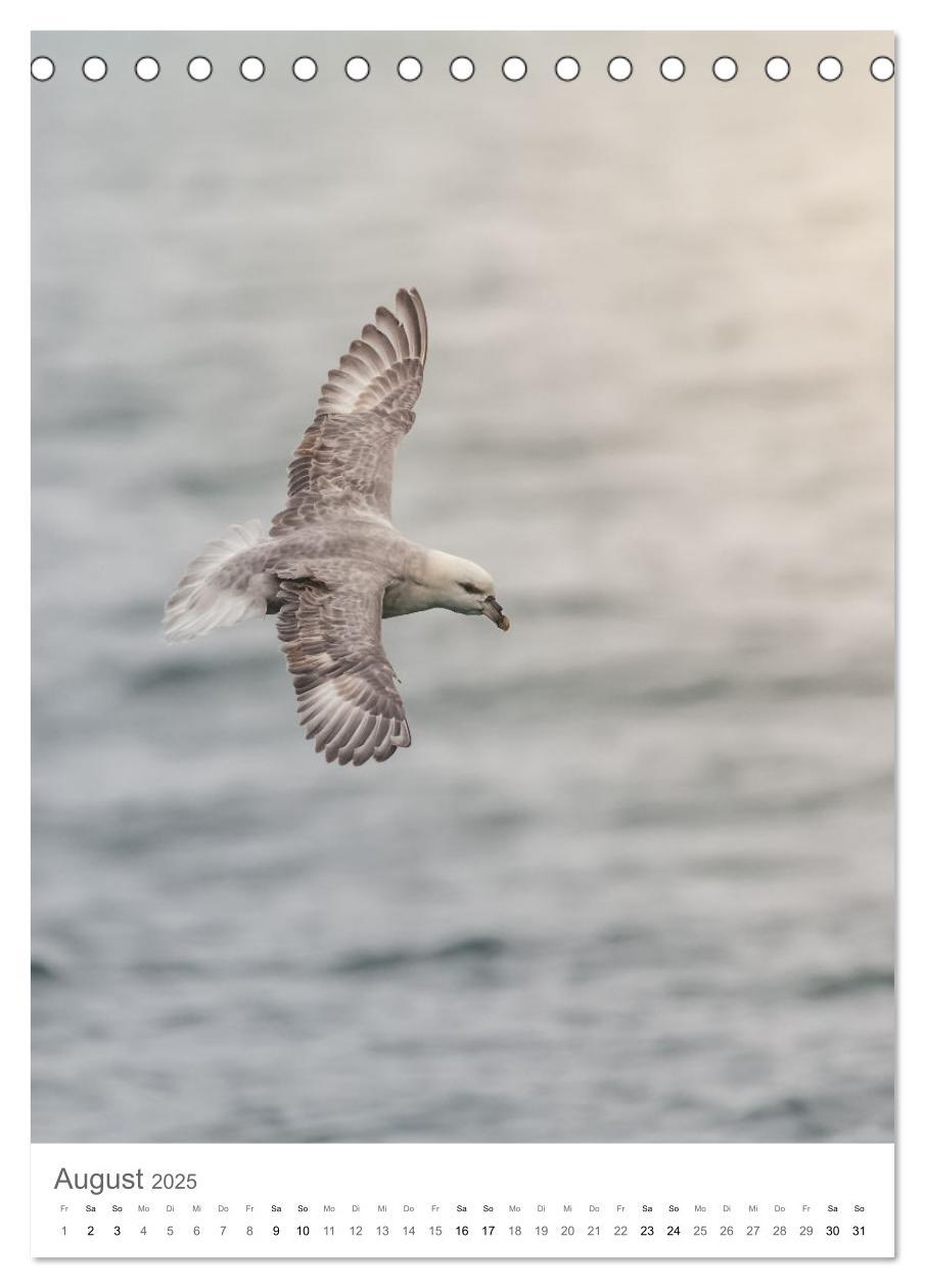 Bild: 9783435846757 | Die Arktis - Naturfotografien aus Spitzbergen (Tischkalender 2025...