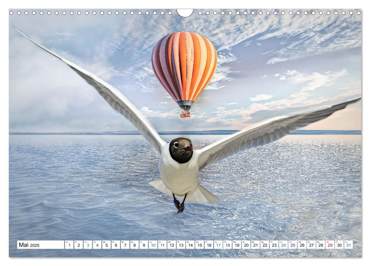 Bild: 9783435095971 | Fliegen, Fliegen - humorvolle Montagen (Wandkalender 2025 DIN A3...