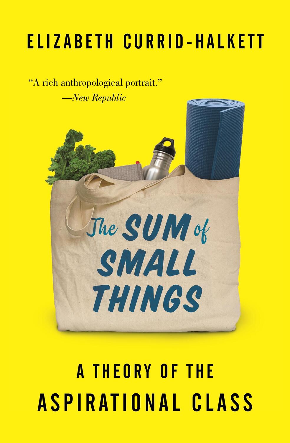 Cover: 9780691183176 | The Sum of Small Things | A Theory of the Aspirational Class | Buch