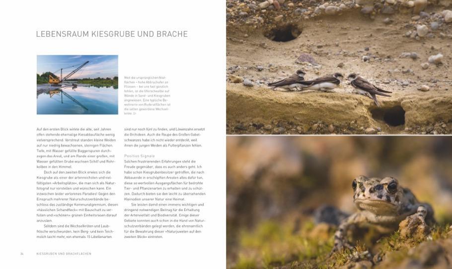 Bild: 9783862467372 | Verborgene Wildnis Bayern | Faszinierende Natur vor unserer Haustür