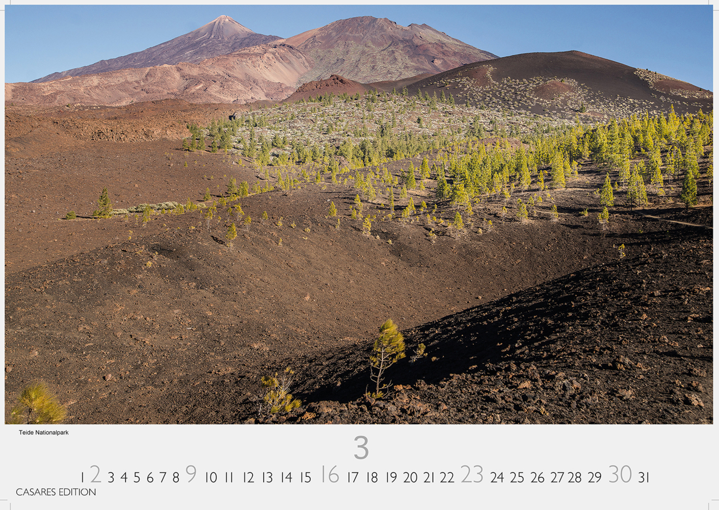 Bild: 9781835240403 | Teneriffa 2025 L 35x50cm | Kalender | 14 S. | Deutsch | 2025