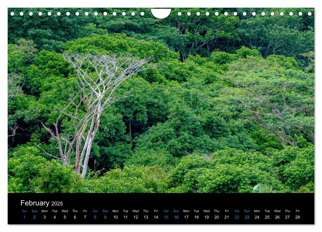 Bild: 9781325939725 | Beautiful Mauritius (Wall Calendar 2025 DIN A4 landscape), CALVENDO...