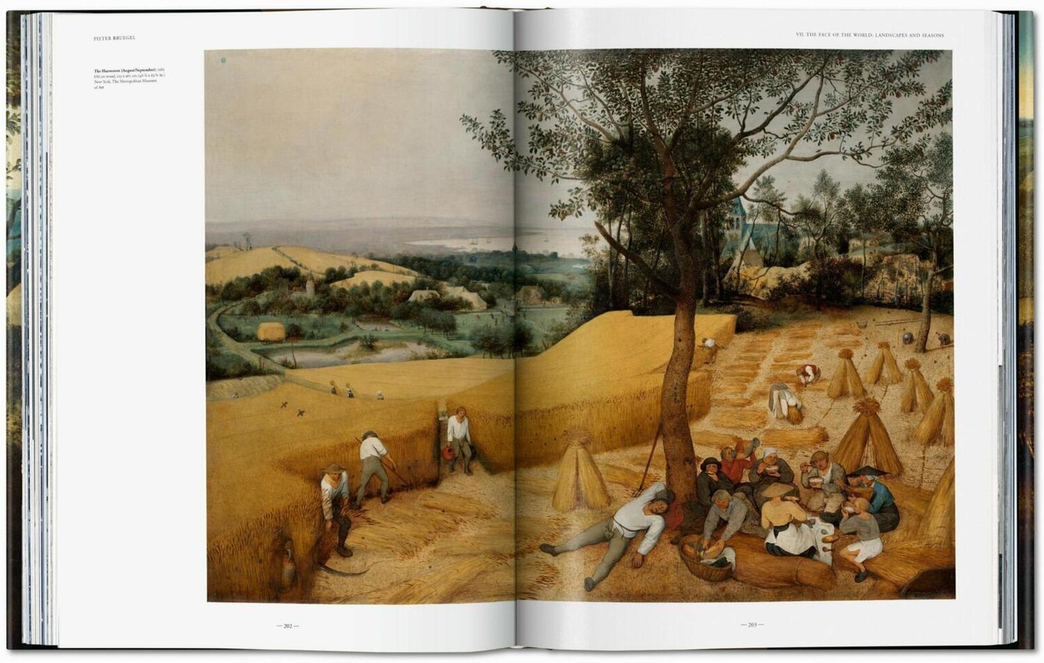 Bild: 9783836583602 | Bruegel. L'oeuvre complet | Jürgen Müller (u. a.) | Buch | Französisch