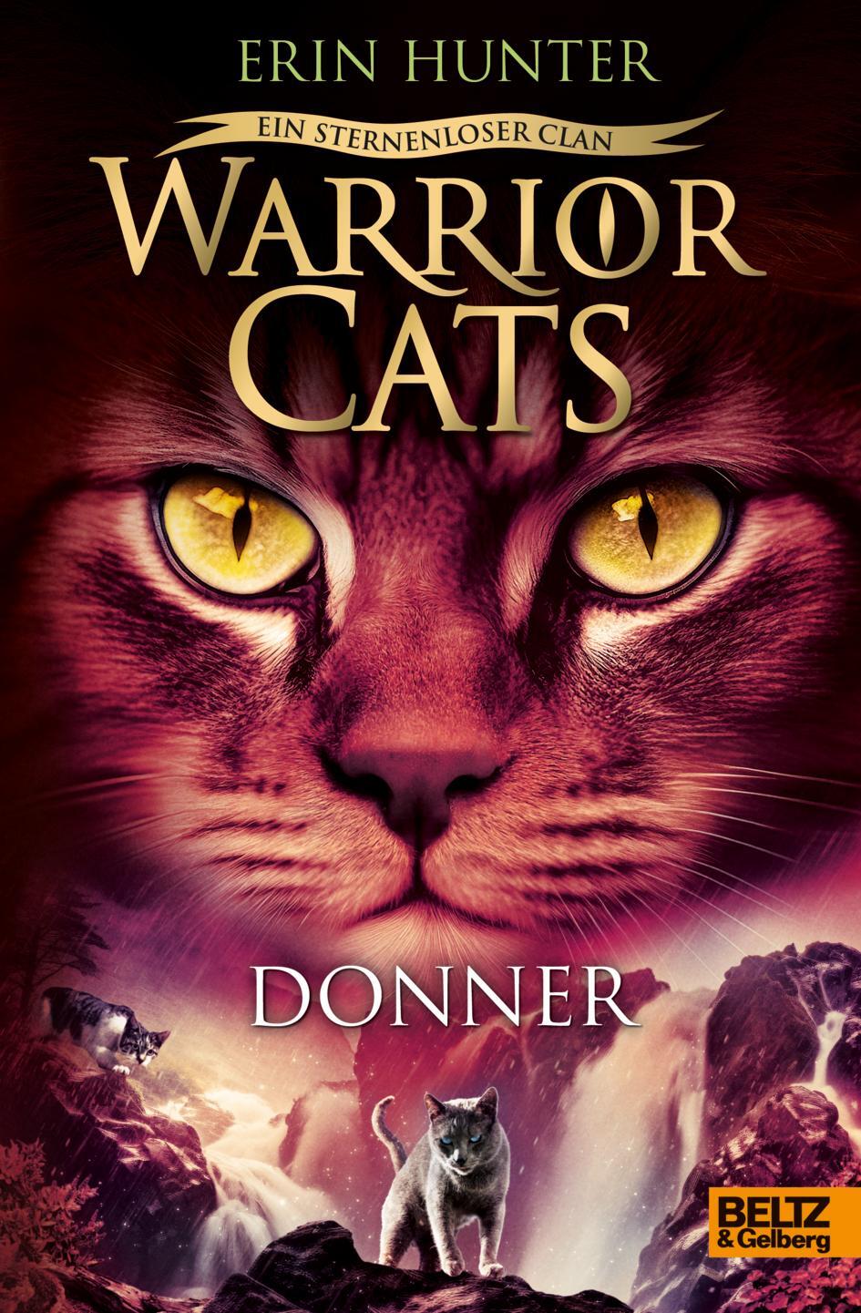 Cover: 9783407759405 | Warrior Cats - Ein sternenloser Clan. Donner | Staffel VIII, Band 4