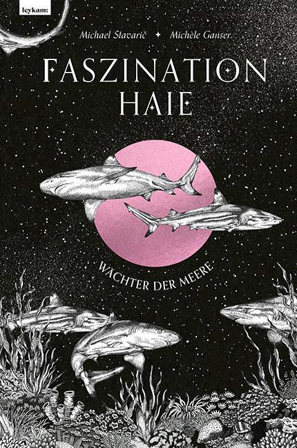 Cover: 9783701183159 | Faszination Haie - Wächter der Meere | Michael Stavaric (u. a.) | Buch