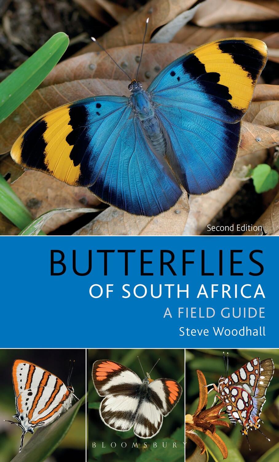 Cover: 9781472973719 | Field Guide to Butterflies of South Africa | Second Edition | Woodhall