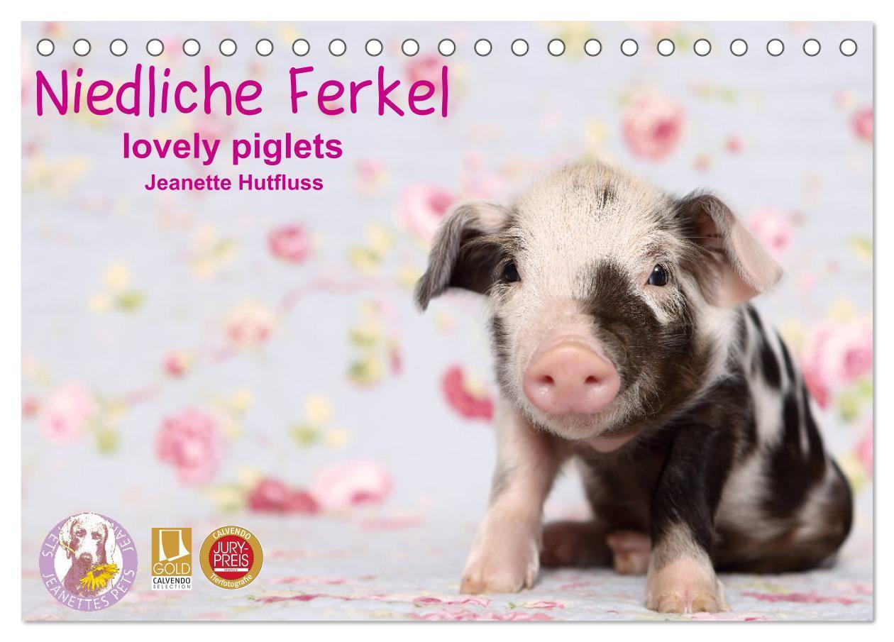 Cover: 9783383124273 | Niedliche Ferkel lovely piglets 2024 (Tischkalender 2024 DIN A5...