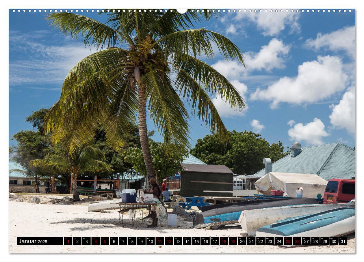 Bild: 9783435453788 | Barbados (Wandkalender 2025 DIN A2 quer), CALVENDO Monatskalender