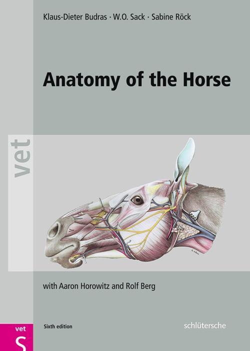 Cover: 9783899936667 | Anatomy of the Horse | with Aaron Horowitz and Rolf Berg | Buch | 2012