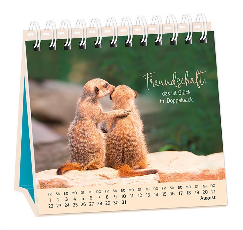 Bild: 9783986360962 | Tischkalender 2025 Extraportion Glück | Tischkalender | Original