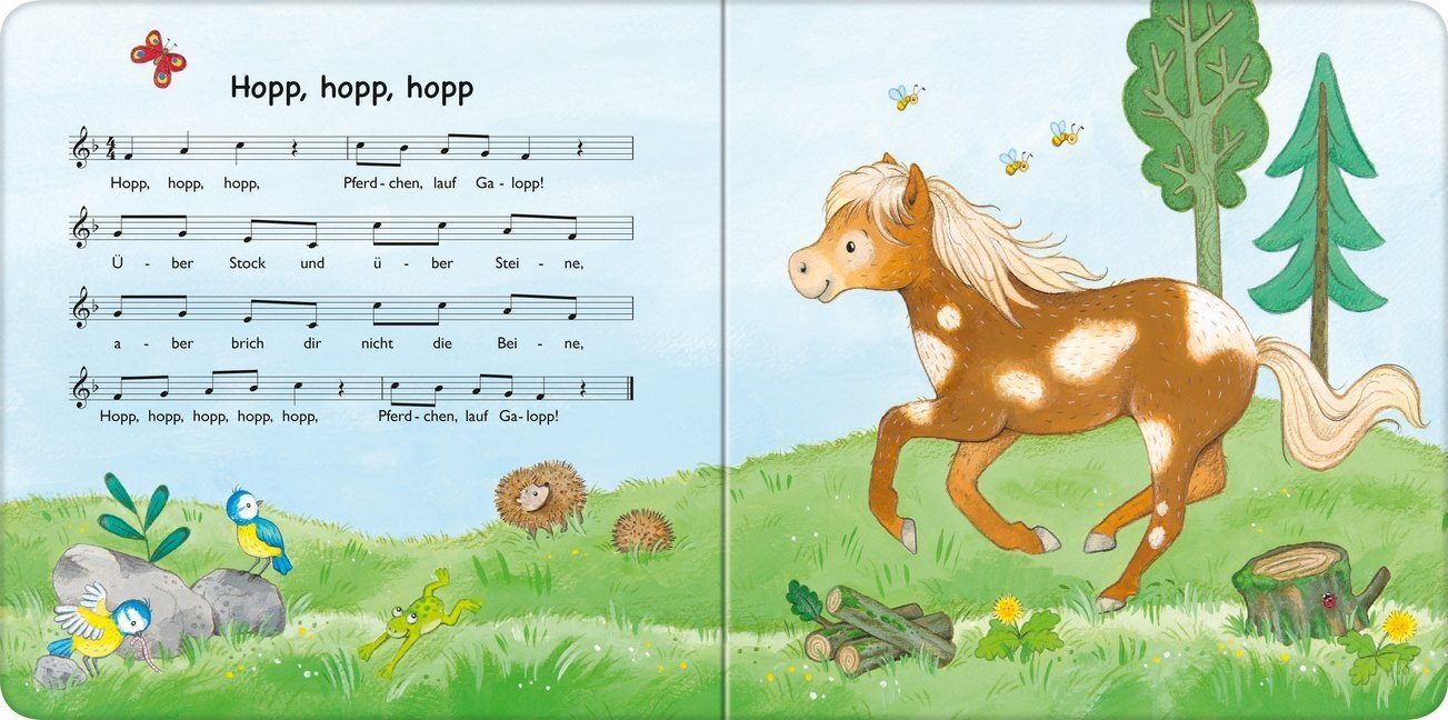 Bild: 9783473438532 | Bild für Bild singen wir Kinderlieder | Nora Paehl | Buch | Unzerr.