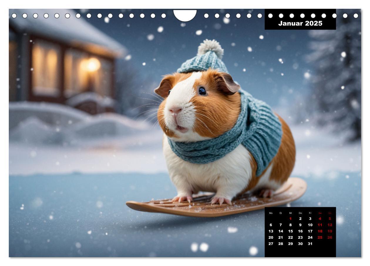 Bild: 9783435011865 | Meerschweinchen mal anders! (Wandkalender 2025 DIN A4 quer),...