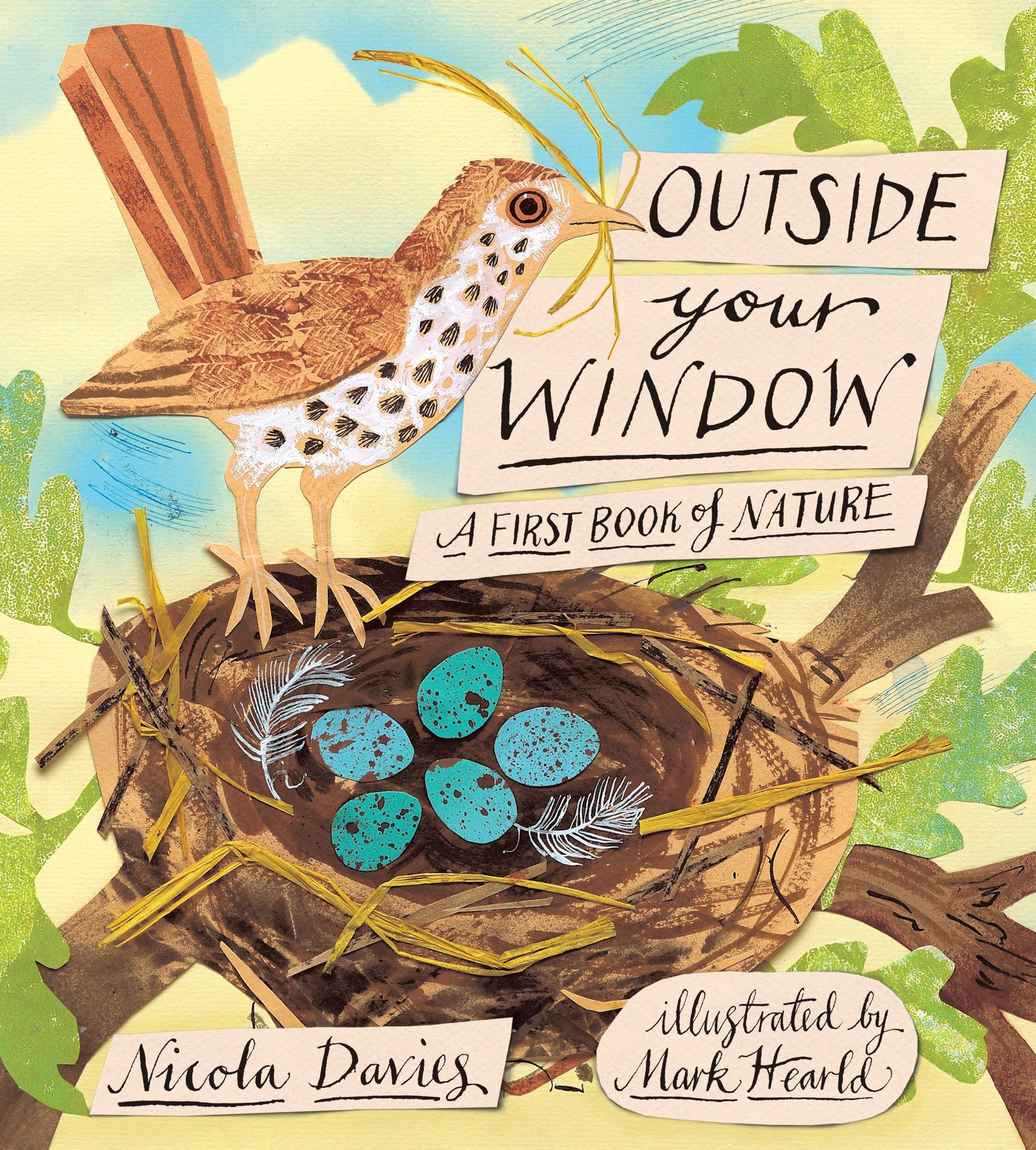 Cover: 9780763655495 | Outside Your Window | A First Book of Nature | Nicola Davies | Buch