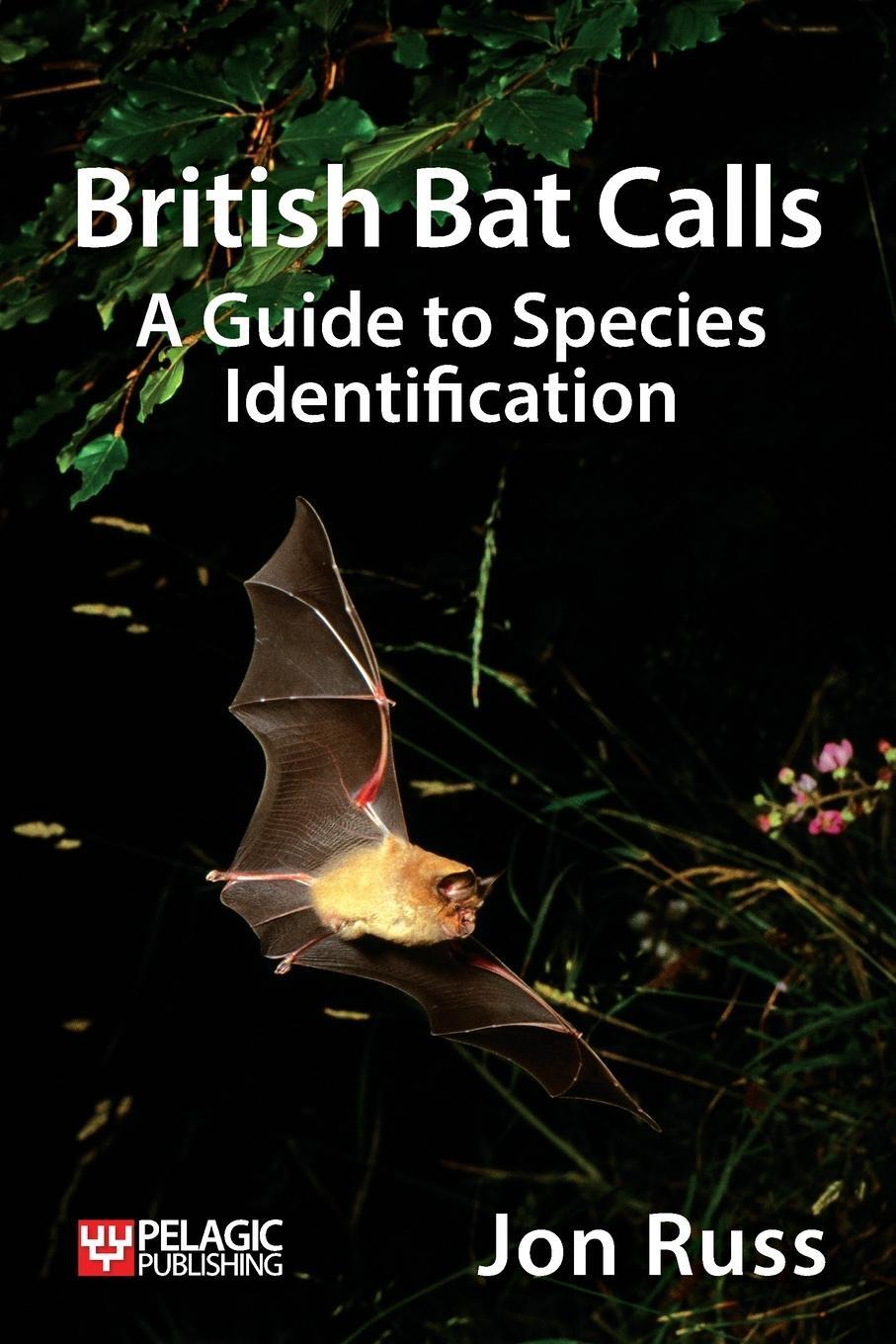 Cover: 9781907807251 | British Bat Calls | A Guide to Species Identification | Jon Russ