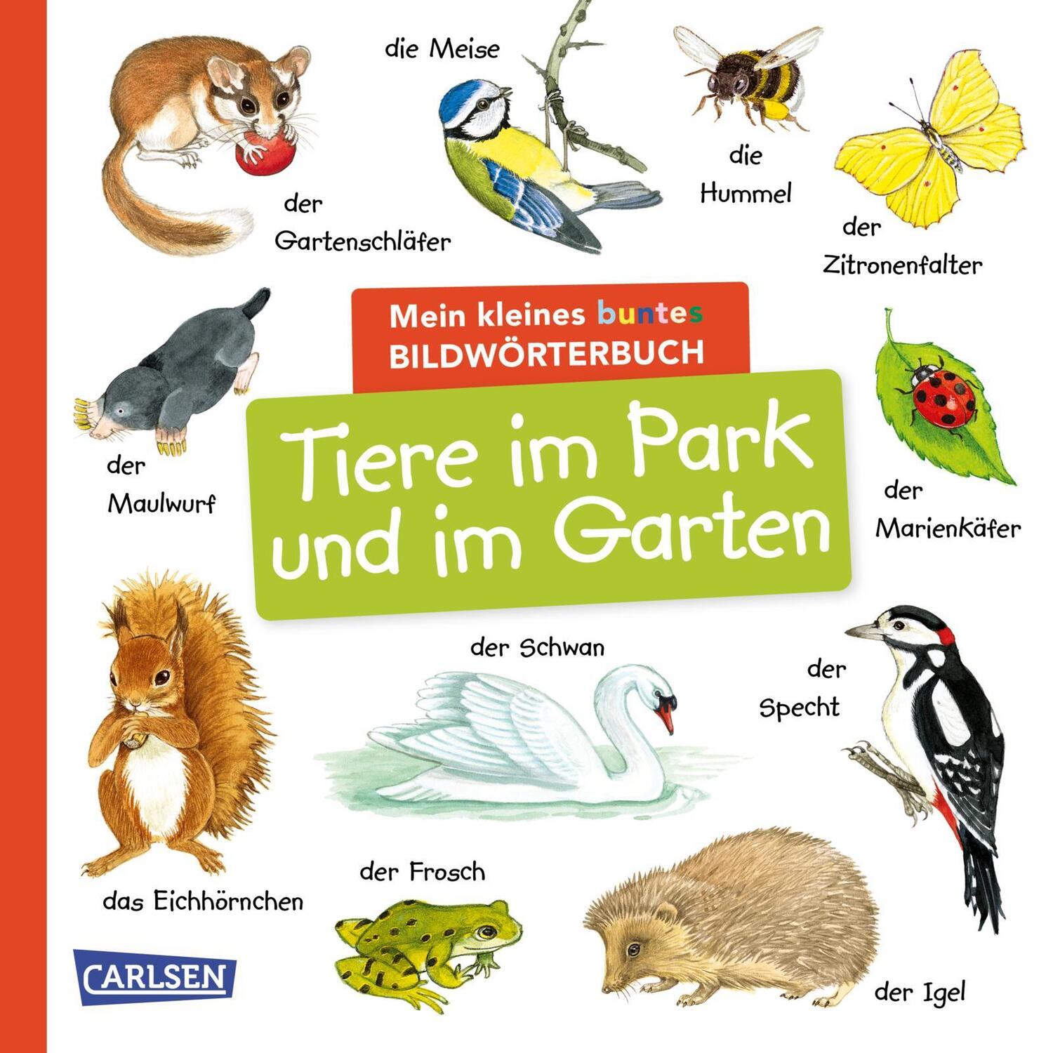 Cover: 9783551173256 | Mein kleines buntes Bildwörterbuch: Tiere im Park und im Garten | Buch