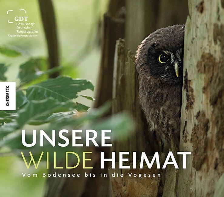Cover: 9783957280138 | Unsere wilde Heimat | Vom Bodensee bis in die Vogesen | Baden | Buch