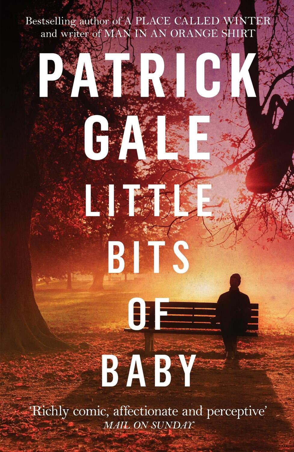 Cover: 9781472255631 | Little Bits of Baby | Patrick Gale | Taschenbuch | Englisch | 2018
