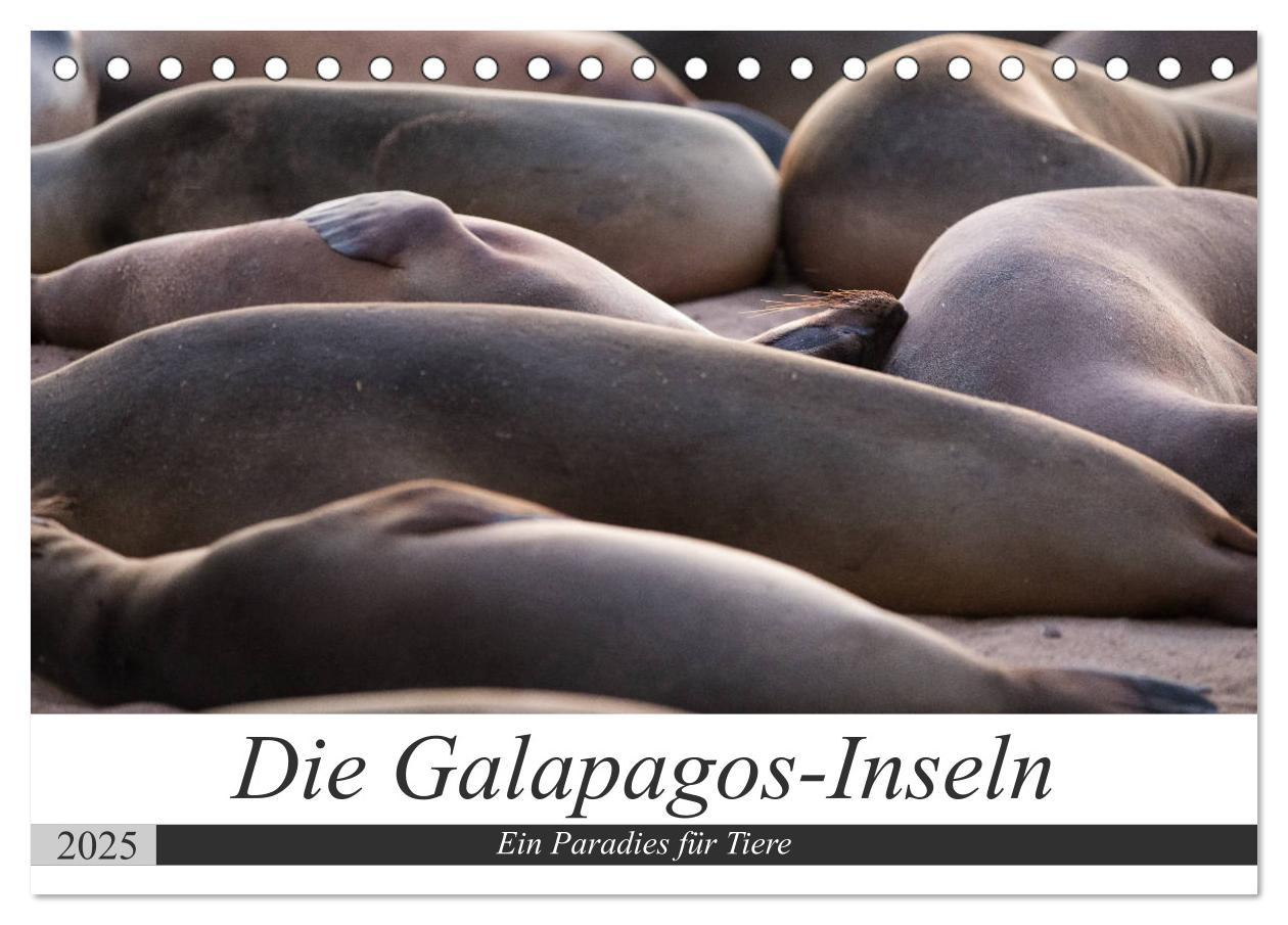 Cover: 9783435321148 | Galapagos-Inseln - Ein Paradies für Tiere (Tischkalender 2025 DIN...