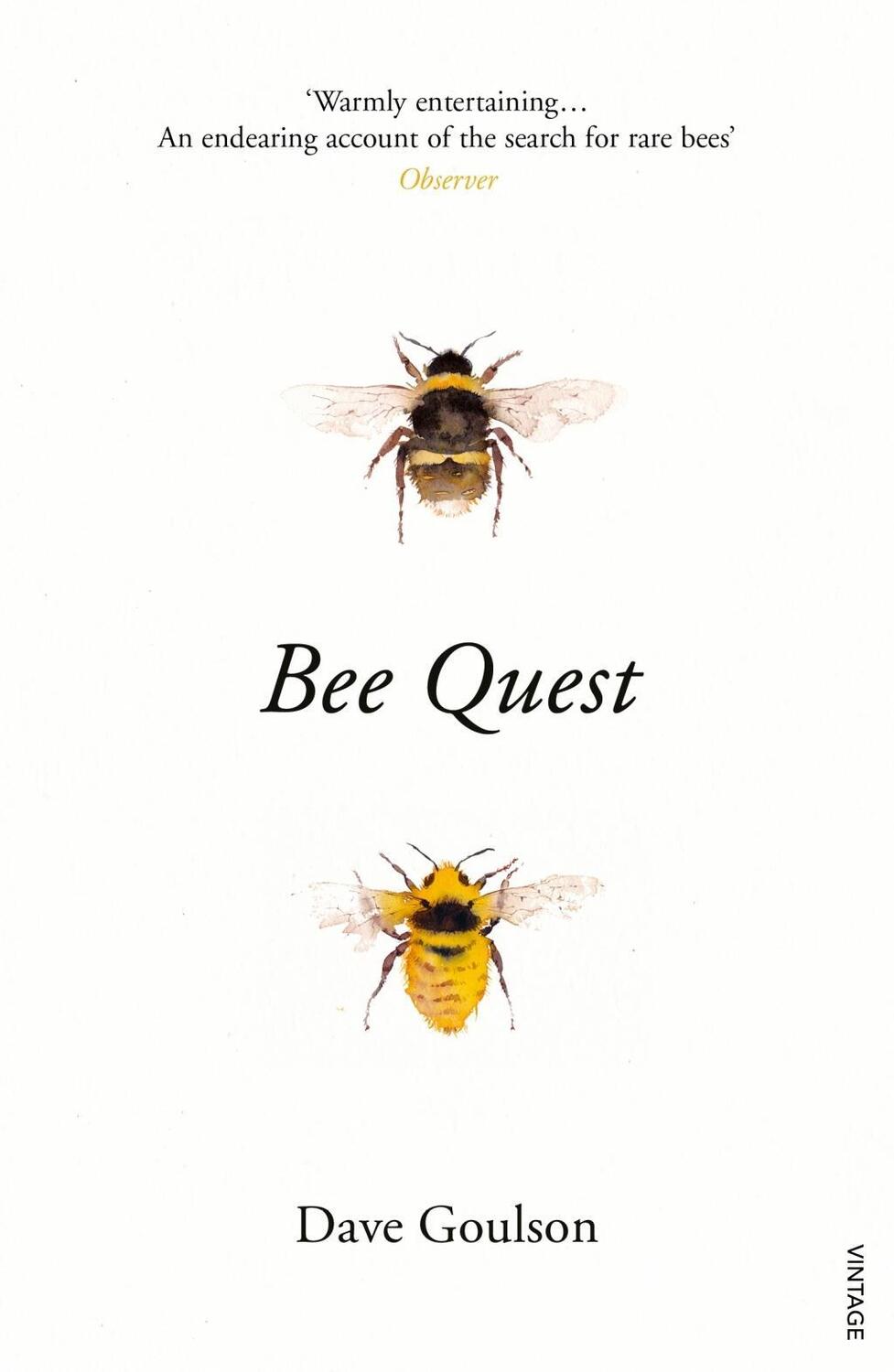 Cover: 9781784704803 | Bee Quest | Dave Goulson | Taschenbuch | Englisch | 2018