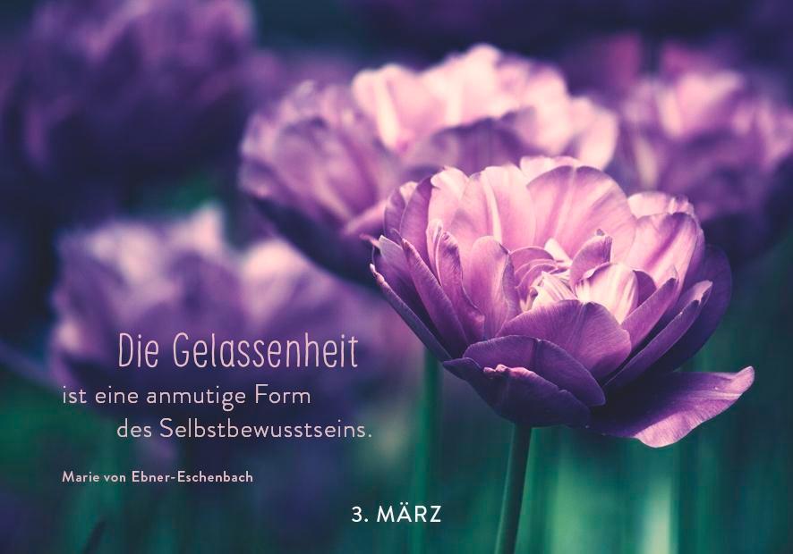 Bild: 9783629009838 | 365 mal Gelassenheit | Pattloch Verlag | Kalender | 384 S. | Deutsch