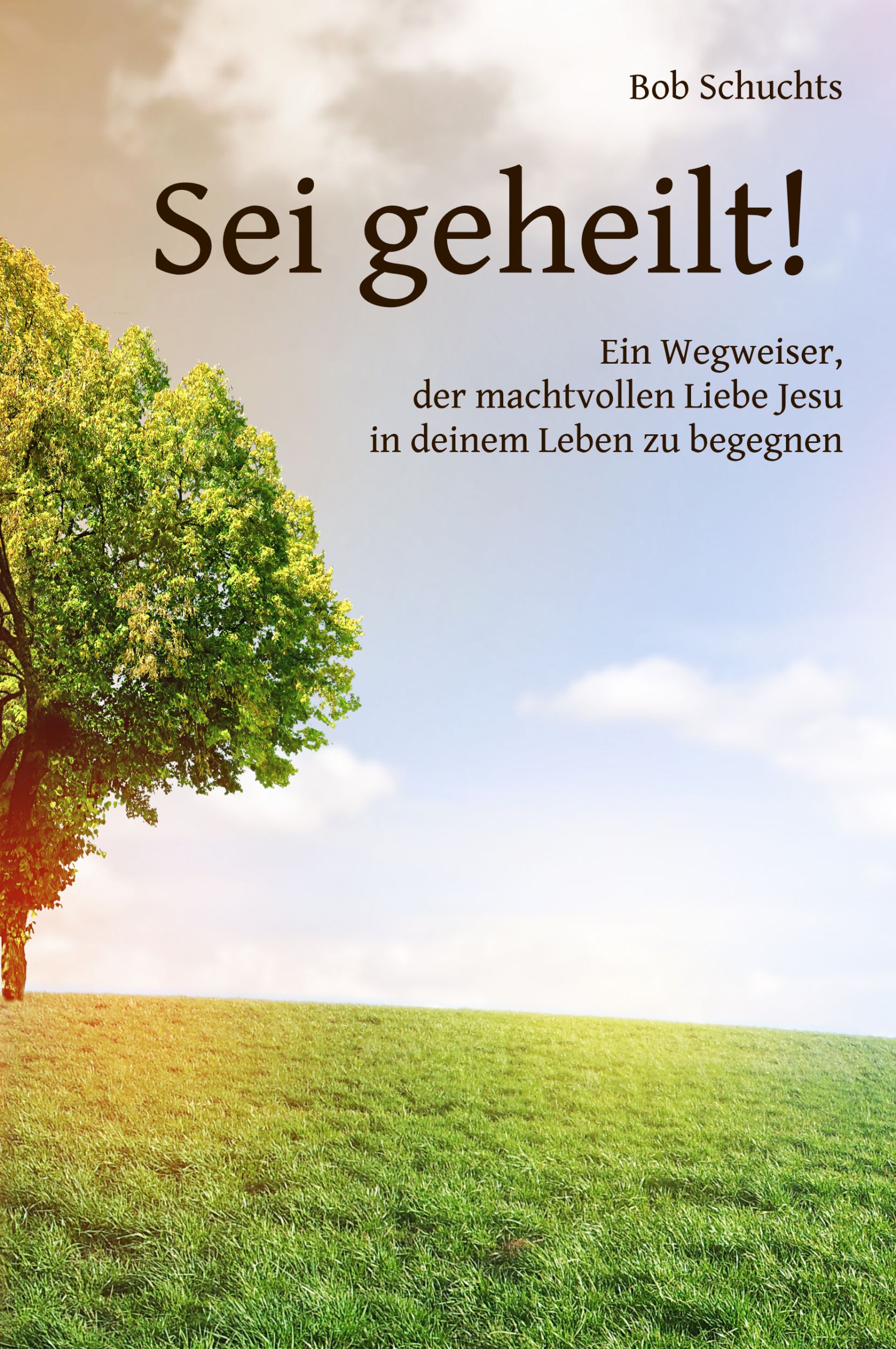 Cover: 9783903028807 | Sei geheilt! | Bob Schuchts | Taschenbuch | 230 S. | Deutsch | 2022