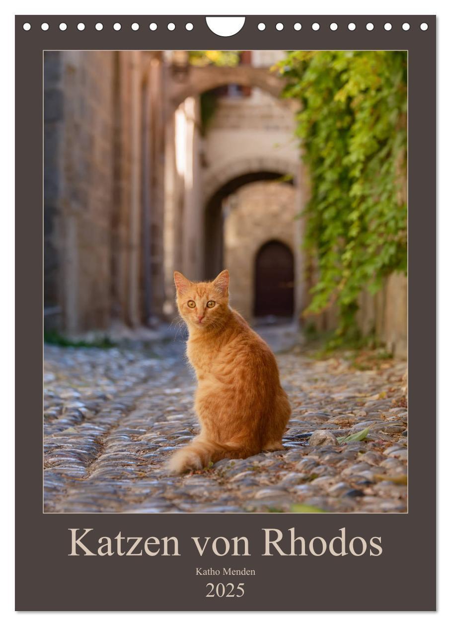 Cover: 9783435990030 | Katzen von Rhodos (Wandkalender 2025 DIN A4 hoch), CALVENDO...