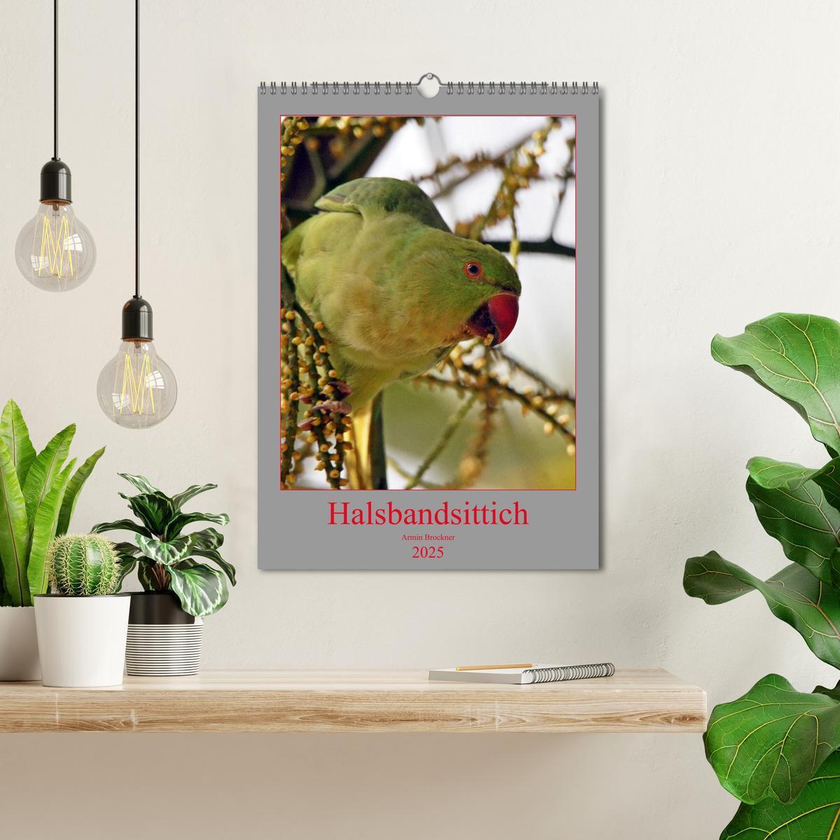 Bild: 9783457000748 | Halsbandsittich (Wandkalender 2025 DIN A3 hoch), CALVENDO...