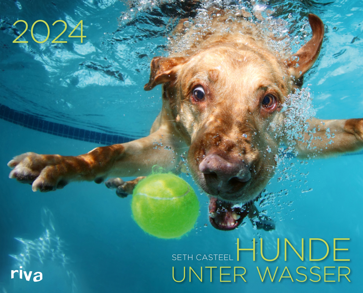 Cover: 9783742323521 | Hunde unter Wasser 2024 | Seth Casteel | Kalender | Spiralbindung
