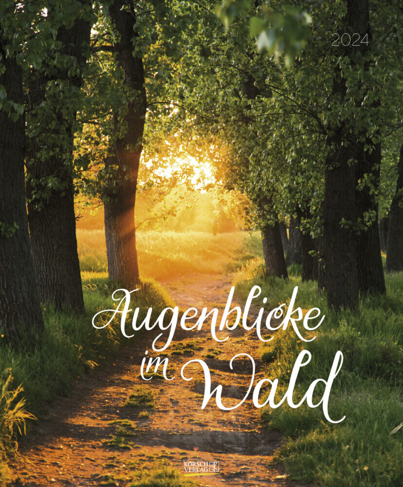 Cover: 9783731872054 | Augenblicke im Wald 2024 | Verlag Korsch | Kalender | Spiralbindung