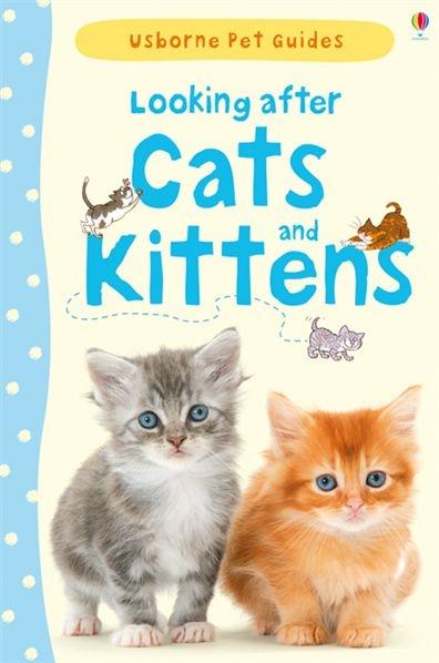 Cover: 9781409532422 | Looking after Cats and Kittens | Katherine Starke | Buch | Gebunden