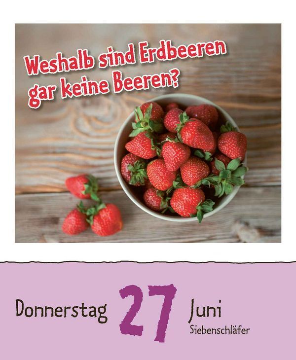 Bild: 9783731870449 | Warum wackelt Wackelpudding? 2024 | Korsch Verlag | Kalender | 328 S.