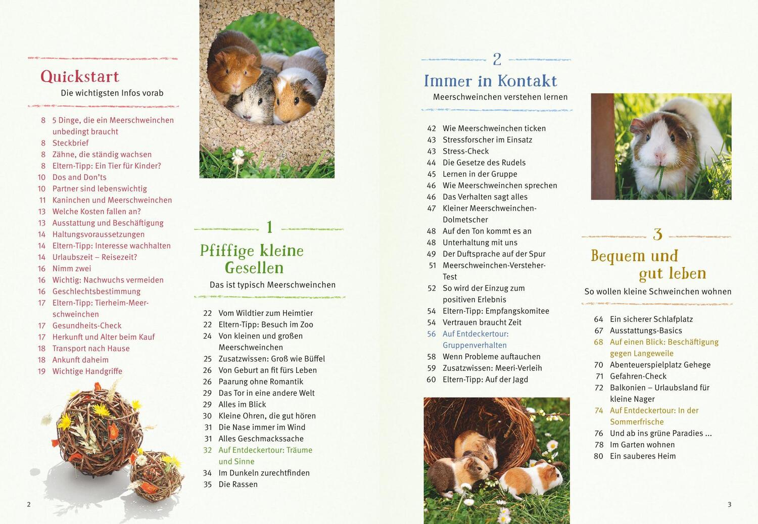 Bild: 9783833842160 | Neugierige Meerschweinchen | Immanuel Birmelin | Taschenbuch | 144 S.