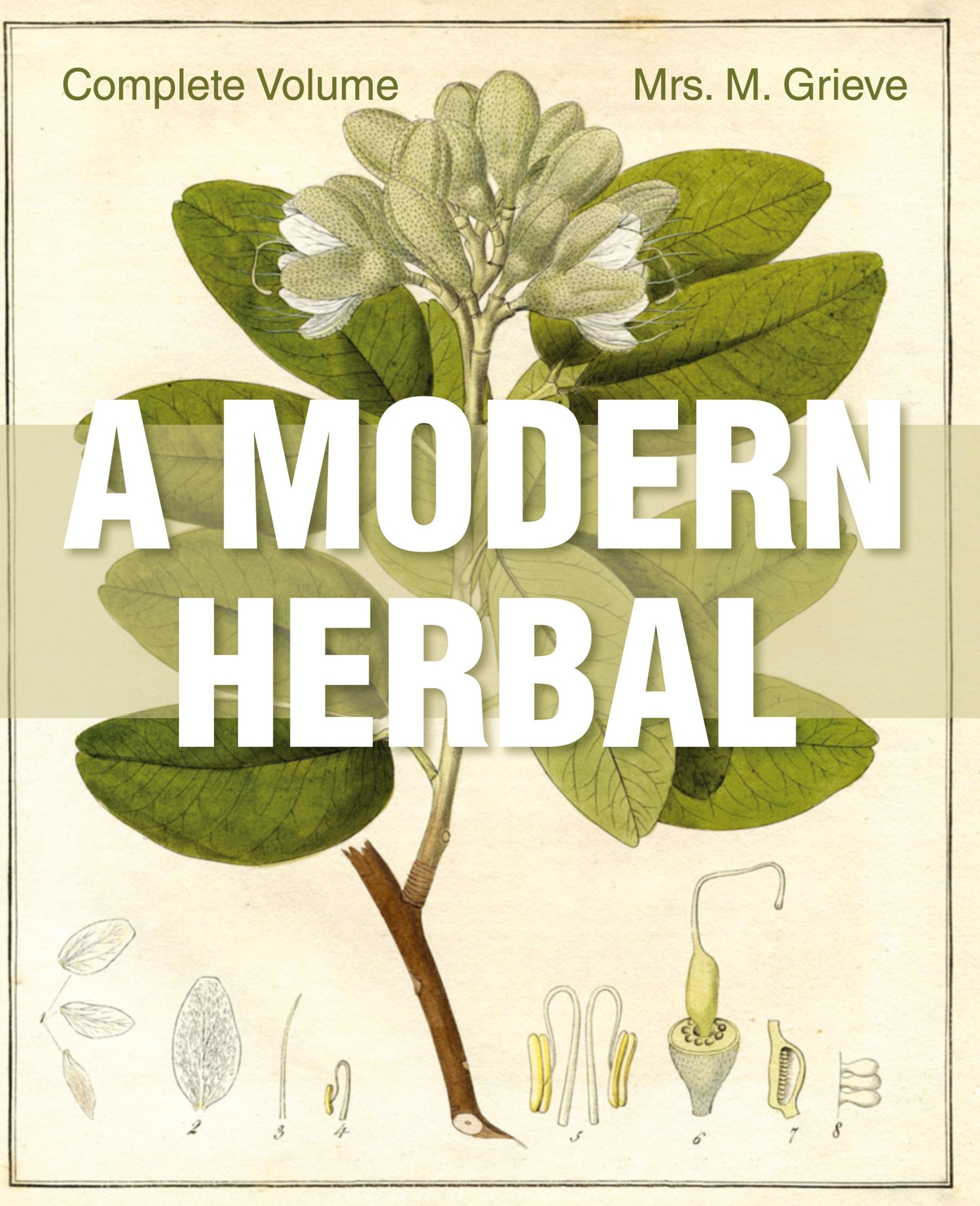 Cover: 9781626542242 | A Modern Herbal | The Complete Edition | Margaret Grieve | Buch | 2015