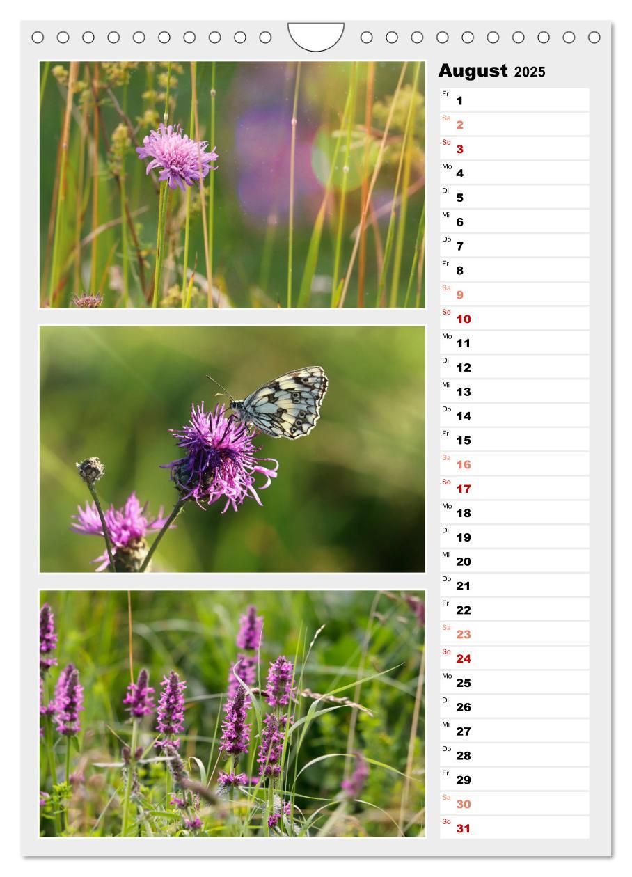 Bild: 9783435889877 | Zauberhafte Farben der Natur (Wandkalender 2025 DIN A4 hoch),...