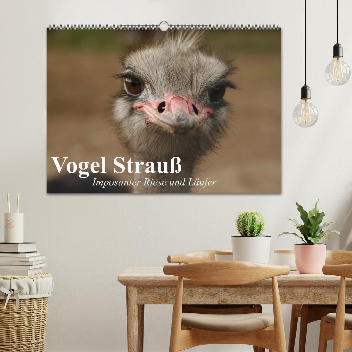 Bild: 9783435522859 | Vogel Strauß. Imposanter Riese und Läufer (Wandkalender 2025 DIN A2...