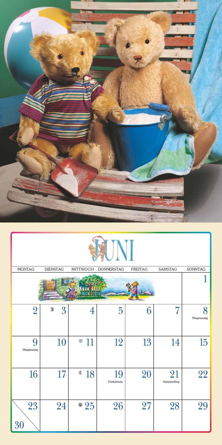 Bild: 4250809653266 | Der Teddybär 2025 - Broschürenkalender - Wandkalender - Format 30 x...