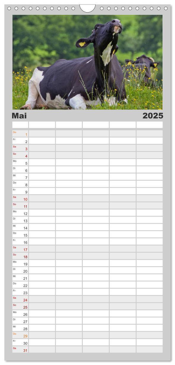 Bild: 9783457104378 | Familienplaner 2025 - Kuh und Co. mit 5 Spalten (Wandkalender, 21 x...