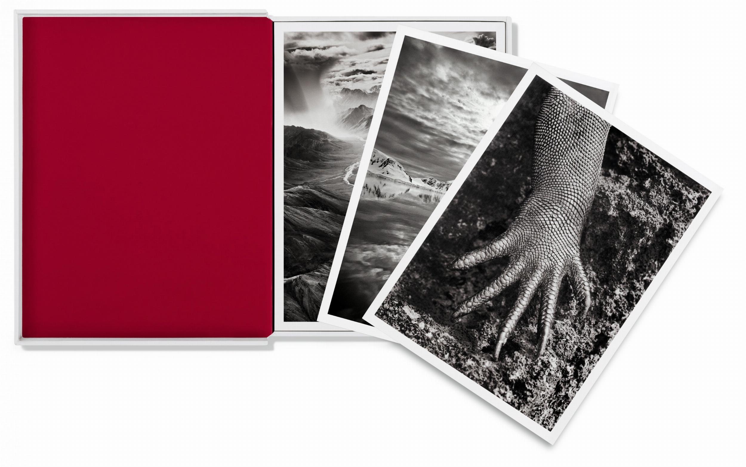 Bild: 9783836548014 | Sebastião Salgado. GENESIS. Postcard Set | Taschenbuch | 50 S. | 2020