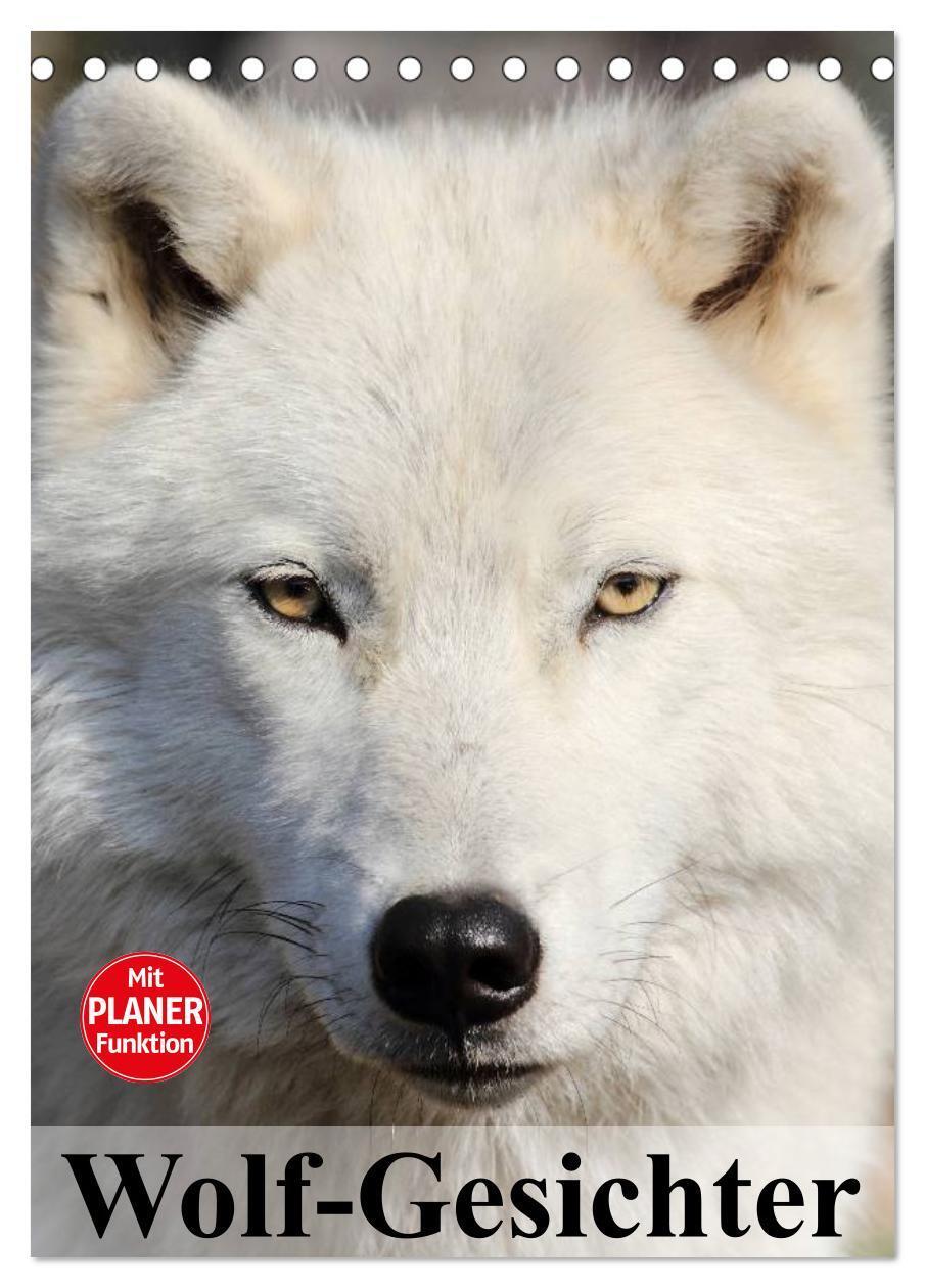 Cover: 9783675582217 | Wolf-Gesichter (Tischkalender 2024 DIN A5 hoch), CALVENDO...