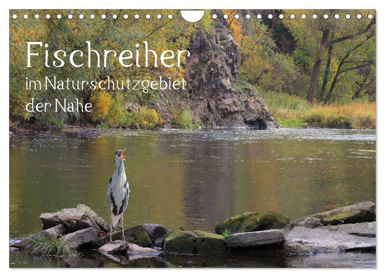 Cover: 9783383211898 | Der Fischreiher im Naturschutzgebiet der Nahe (Wandkalender 2024...