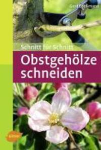 Cover: 9783800149711 | Obstgehölze schneiden | Schnitt für Schnitt | Gerd Großmann | Buch